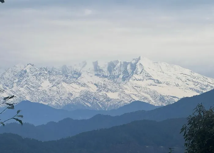 The Himalayan Woods, Chaukori
