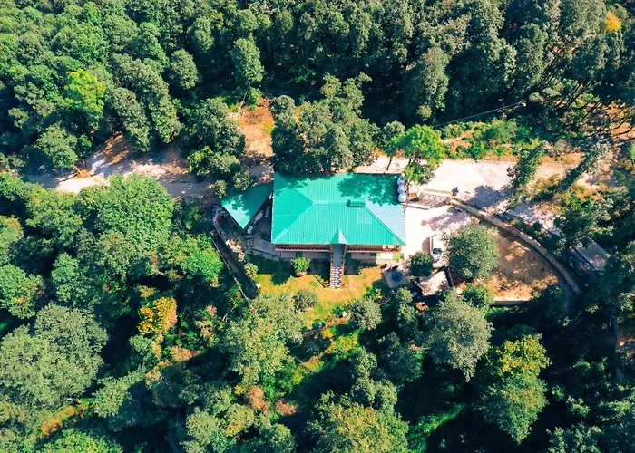The Himalayan Woods, Chaukori