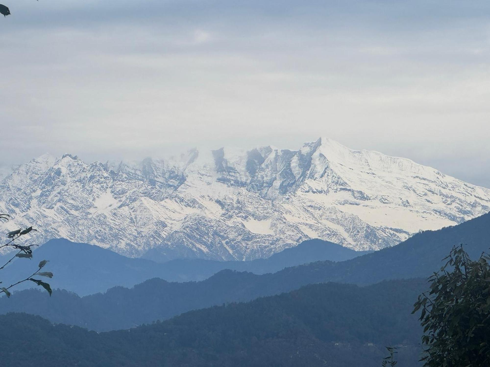 The Himalayan Woods, Homestay Chaukori