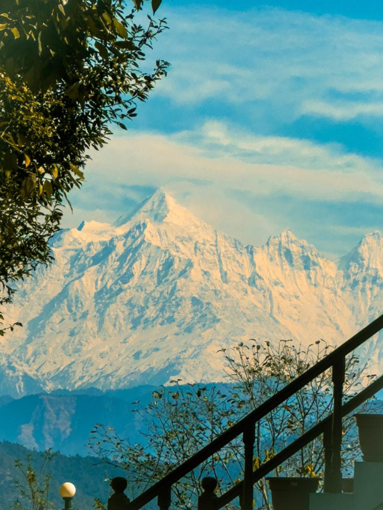 Homestay The Himalayan Woods,