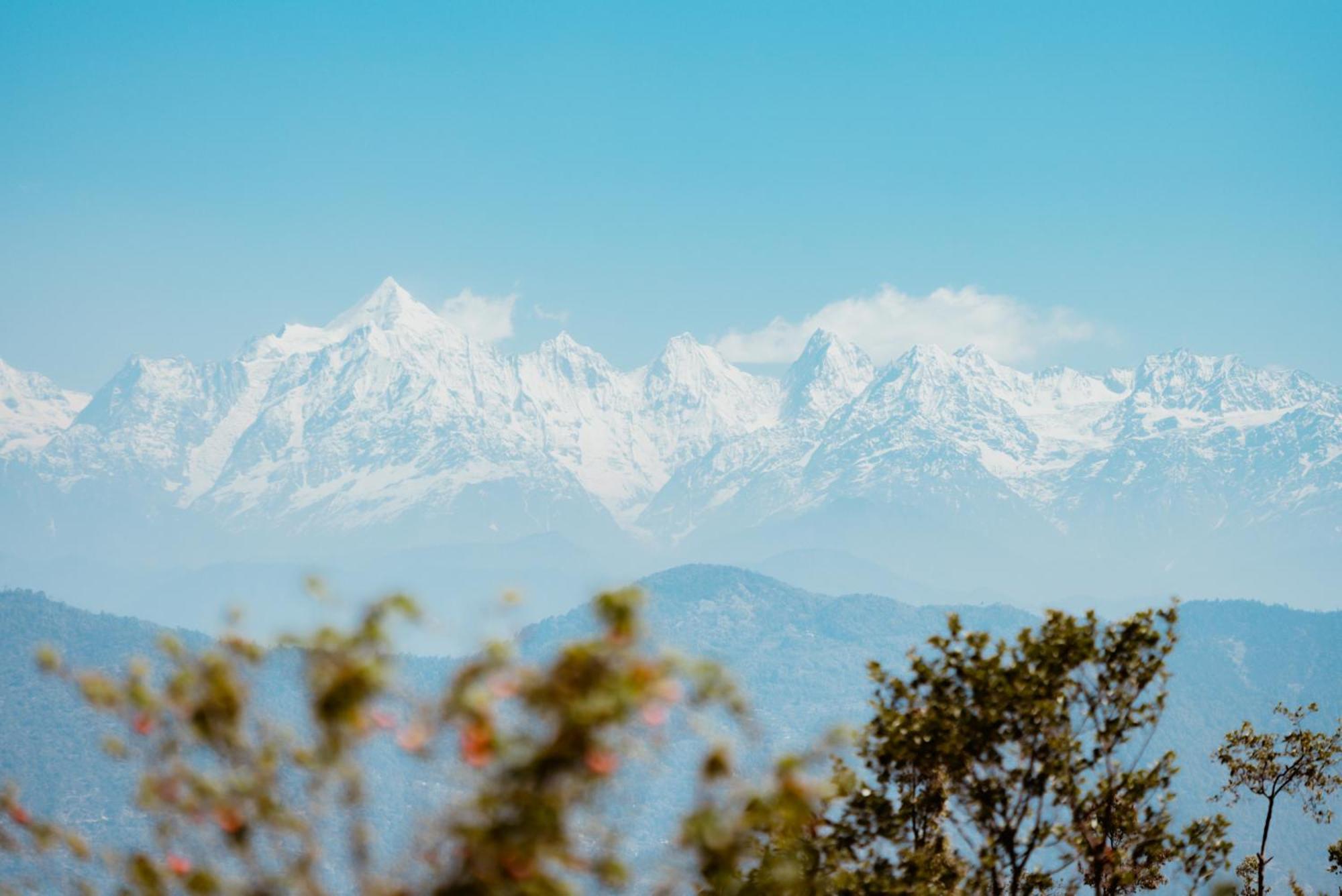 The Himalayan Woods, * Chaukori