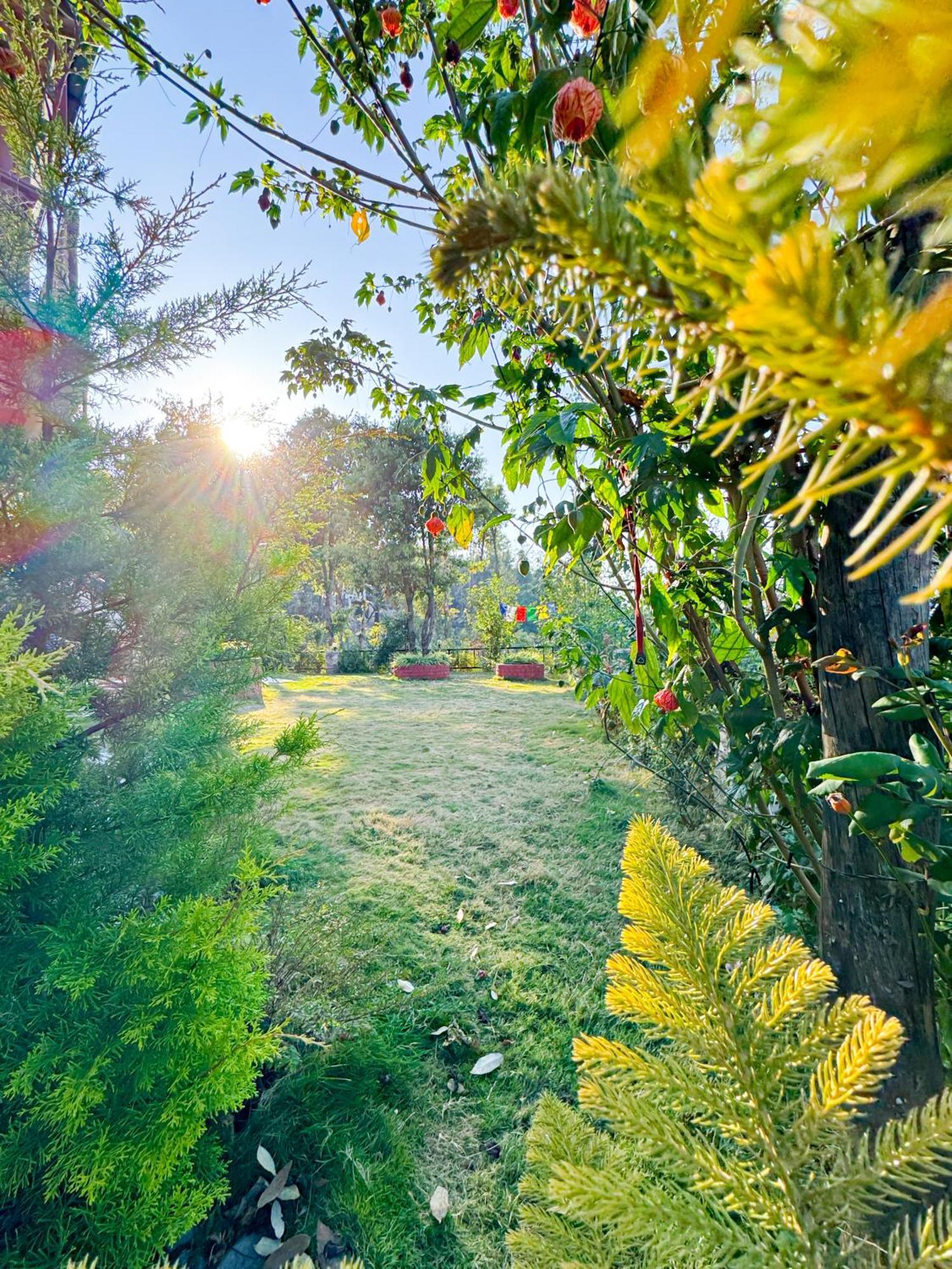 The Himalayan Woods, Homestay